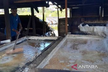 Tiga daerah ini dikembangkan sebagai sentra produksi garam di Aceh