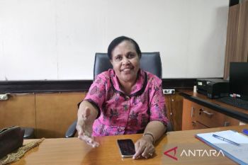Bapenda sebut target PAD Papua 2025 turun