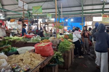 Gubernur Lampung minta waspadai kondisi cuaca yang pengaruhi stabilitas pangan