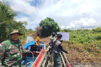 BKSDA Jambi lakukan patroli terpadu jaga cagar alam hutan bakau