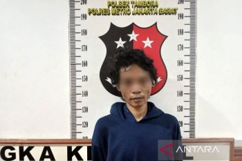 Polisi bekuk pria yang curi ponsel saat korban sedang tidur