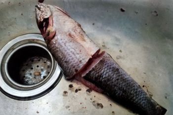 Harga ikan segar dan sayuran terus merangkak naik
