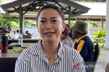 DPRK Mimika: Perempuan harus berani melaporkan tindak kekerasan