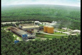 PLN Dorong Pertanian Modern dengan Electrifying Agriculture di Kabupaten Ketapang dan Kayong Utara
