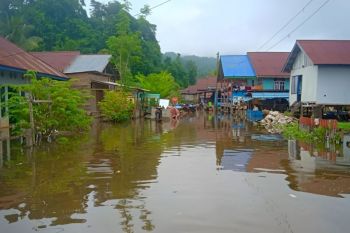 Sebanyak 100 KK terdampak banjir di Desa Onepute Morowali Utara