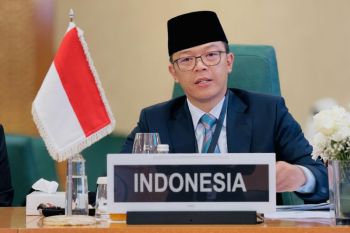 Menlu RI usulkan tiga langkah kunci respons situasi di Palestina kepada OKI