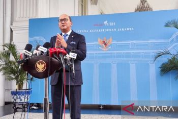 Danantara ditugasi evaluasi proyek hilirisasi agar investasi efektif