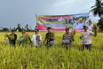 Bupati Kapuas berkomitmen tingkatkan infrastruktur pertanian