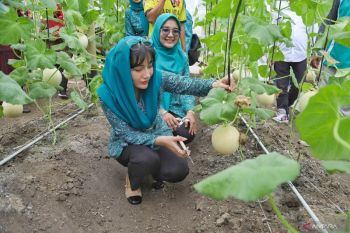 Anggota DPR RI dorong kemandirian pangan di Trenggalek