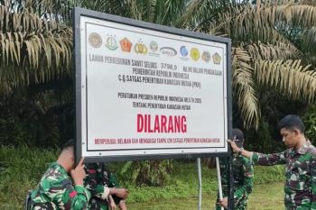 Penyegelan lahan sawit dinilai berpotensi cacat hukum