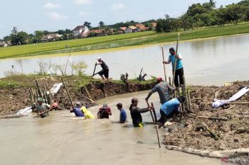 Cegah banjir, warga gotong royong perbaiki tanggul jebol di Pebayuran Bekasi
