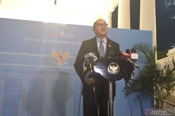 Danantara sisir proyek hilirisasi, bersiap kucurkan dana investasi