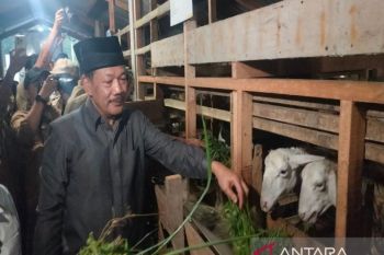 Baznas RI meresmikan Balai Ternak Medikorejo bagi fakir miskin di Sleman