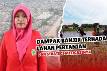Dampak banjir terhadap lahan pertanian dan strategi mitigasinya