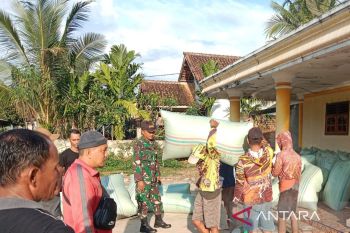 Bulog serap 2.000 ton gabah beras petani di  OKU Timur