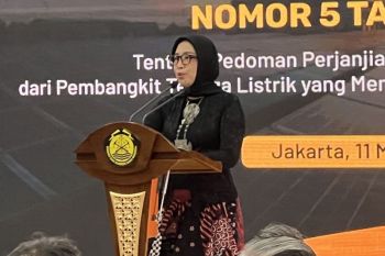 Pemerintah fokus proyek migas untuk gelombang pertama Danantara