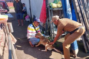 Pemkab Buleleng gencarkan vaksinasi cegah rabies