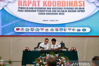 Wamendagri: Sinkronisasi proker pusat-daerah kelola keuangan penting