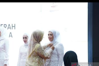 Ketua Dekranasda Sultra harap Dekranasda daerah mampu berinovasi