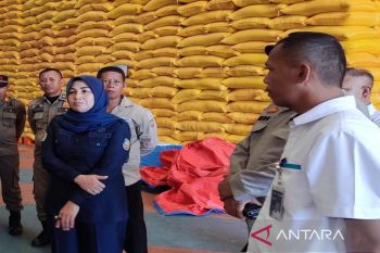 Bulog Konsel sebut 1.600 ton beras cukup hingga 10 bulan kedepan