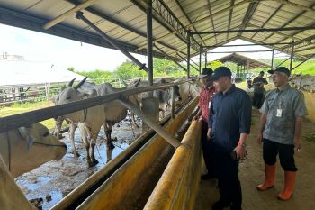 DPRD Jateng : Balai Pertanian kunci dukung ketahanan pangan