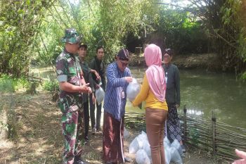 DKP Gunungkidul menebar benih ikan di Sungai Oya jaga ekosistem