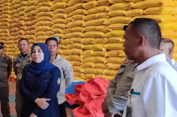 Stok beras Bulog Konsel 1.600 ton cukup untuk 10 bulan