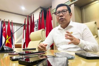 Pemerintah upayakan jaga stabilitas pangan demi Lebaran tenang