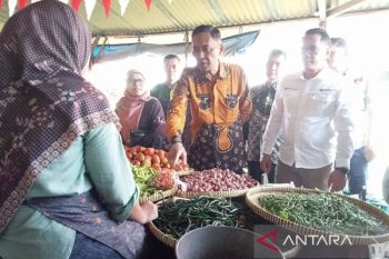 Wabup Bantul pantau stok dan harga kebutuhan pokok jelang Lebaran