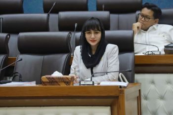 Anggota DPR dorong pemerintah bentuk Indonesia Tourism Board