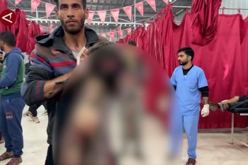 130 anak tewas di Gaza, Unicef serukan gencatan senjata kembali