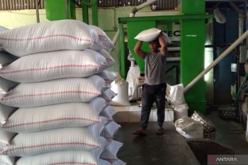 Bapanas dorong anggota Kadin untuk perkuat cadangan pangan di daerah