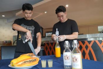 Mahasiswa PCU Surabaya olah pepaya jadi wine bernilai ekonomis