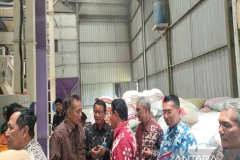 Wamenkop resmikan Koperasi Merah Putih Gapoktan Sidomulyo di Sleman