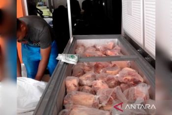 Daging beku semakin laris selama Ramadhan