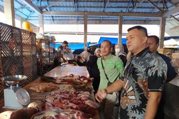 Harga telur lokal di Konsel lebih tinggi dibanding telur dari luar