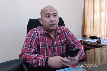 Bulog Kotim sebut program serap gabah berikan dampak luas