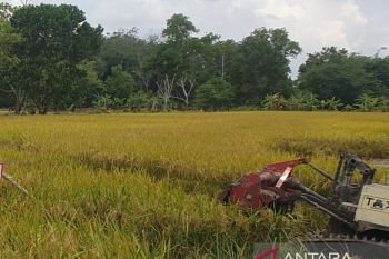 Dinas Pertanian  Sumsel tingkatkan luas baku sawah 48.880 hektare