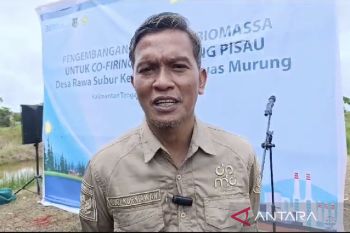 Pemerintah desa di Kapuas didorong bangun perdesaan berbasis kawasan pesisir