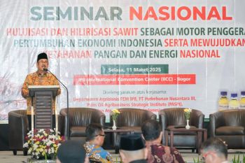 Bappenas sebut hilirisasi sawit dapat beri manfaat besar kepada petani