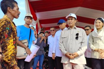 Mentan turun langsung pastikan gabah petani dibeli Rp6.500 per kilo