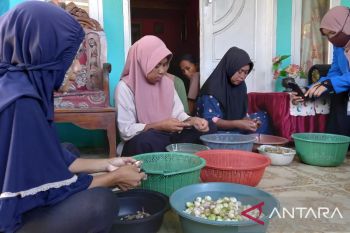 Mahasiswa PPG berikan pelatihan ke UMKM bawang goreng di Wombo