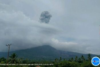 Gunung Lewotobi Laki-laki tiga kali erupsi sepanjang Sabtu