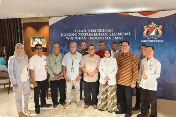 HIPKI dan APKI siap sukseskan hilirisasi kelapa Indonesia