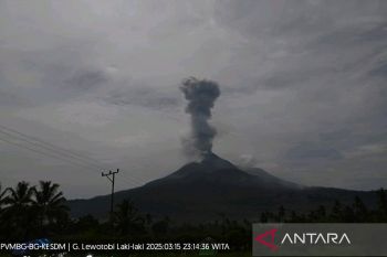 Gunung Lewotobi Laki-laki lima kali erupsi dalam enam jam pada Sabtu