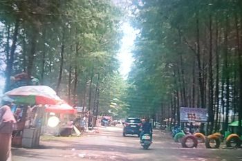 Pemkab Pasaman Barat siap sambut wisatawan lebaran dengan pesta pantai