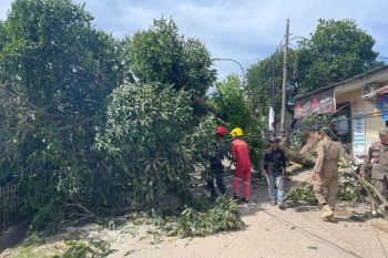 BMKG deteksi adanya pergerakan angin puting beliung di wilayah Kepri