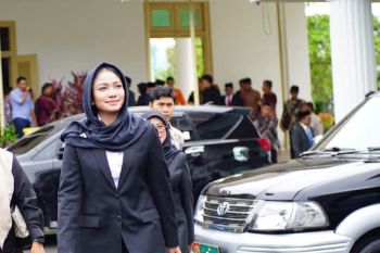 Pemkab Dharmasraya gagas "OVOP" kembangkan ekonomi desa