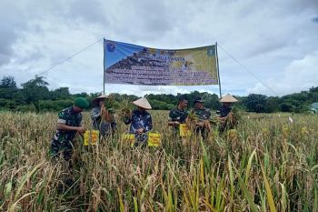 Kodam XII Tanjungpura dukung ketahanan pangan di Bengkayang