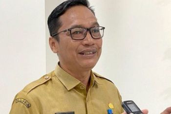 DPKP Palangka Raya ajak masyarakat manfaatkan pekarangan jadi lahan produktif